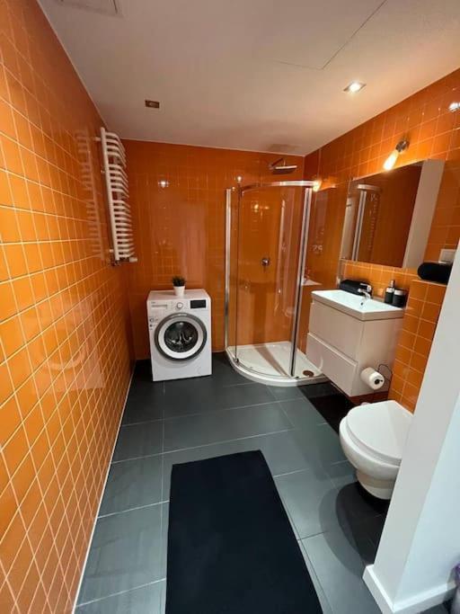 ורוצלב New Apartment Old Town -6 People - 200M Town Hall מראה חיצוני תמונה