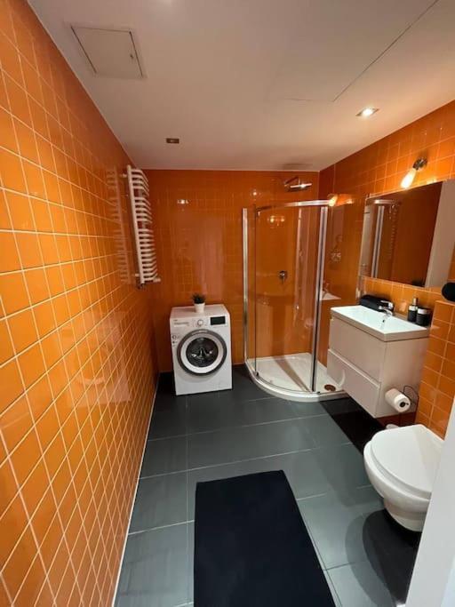 ורוצלב New Apartment Old Town -6 People - 200M Town Hall מראה חיצוני תמונה