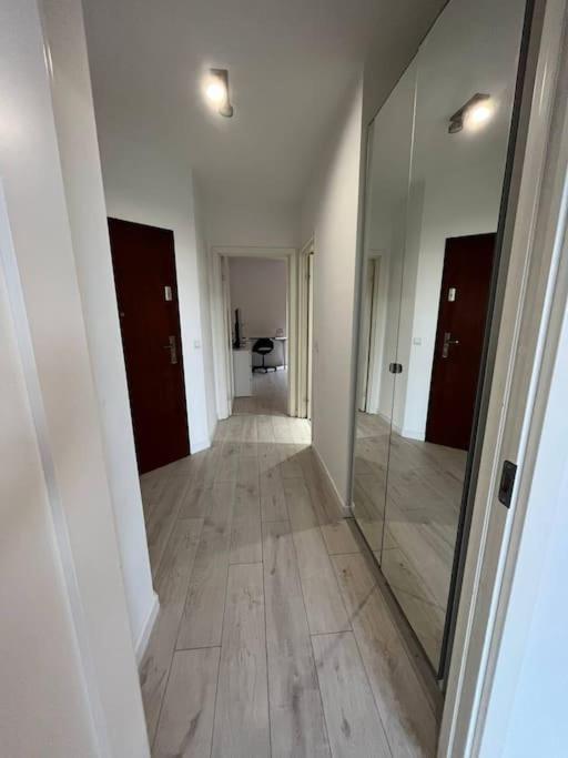 ורוצלב New Apartment Old Town -6 People - 200M Town Hall מראה חיצוני תמונה
